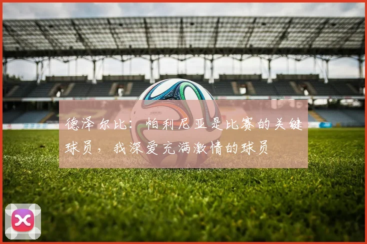 德泽尔比：帕利尼亚是比赛的关键球员，我深爱充满激情的球员