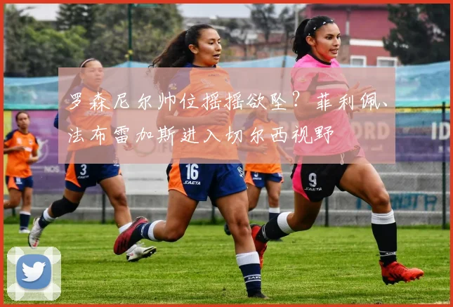 罗森尼尔帅位摇摇欲坠？菲利佩、法布雷加斯进入切尔西视野