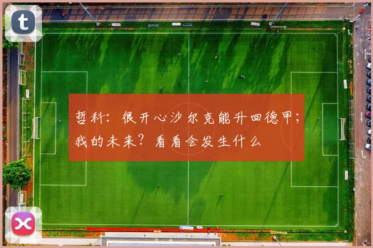 哲科：很开心沙尔克能升回德甲；我的未来？看看会发生什么